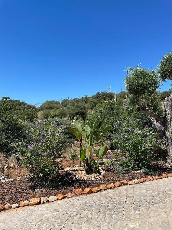 Beautiful Apartment In Semi-Rural Setting São Brás de Alportel
