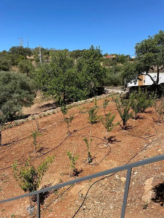 Beautiful Apartment In Semi-Rural Setting São Brás de Alportel