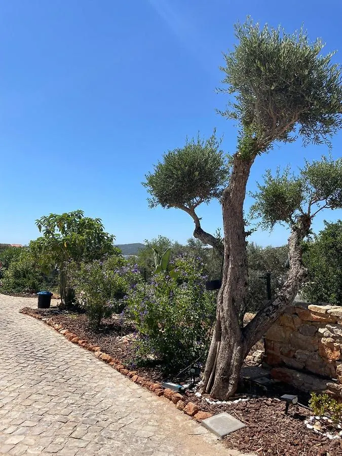 Beautiful Apartment In Semi-Rural Setting São Brás de Alportel Portugal